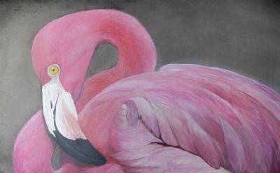 flamingo